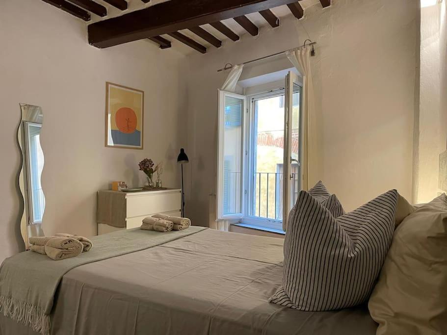 Casa Storica Nel Cuore Di Pisa - Lungarno Екстериор снимка
